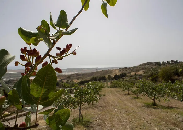 Bellajo - Rustiche Con Piscina Holiday home Agrigento